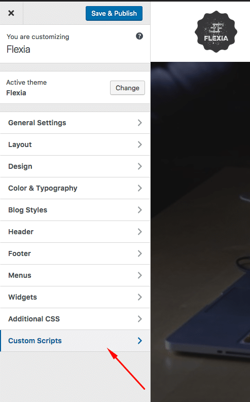 How To Add Custom Scripts To WordPress Header And Footer Through Customizer 10