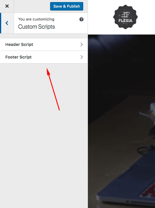 How To Add Custom Scripts To WordPress Header And Footer Through Customizer 20